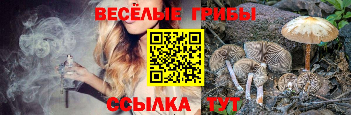 Галлюциногенные грибы Magic Shrooms  Вход с VPN  Серов 