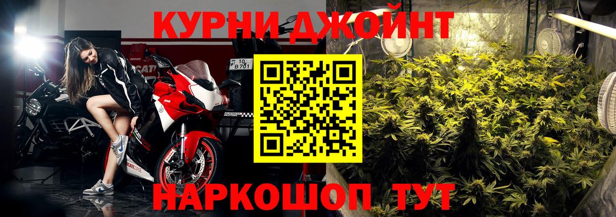 Канабис гибрид  Шишки марихуана сатива  Серов  Бошки марихуана план  Вход с VPN 